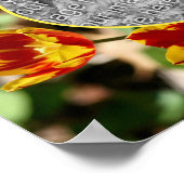 Fiery Tulip Flowers Lijst Creëer Uw eigen foto Poster (Hoek)