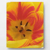 Fiery Tulip Plaque Fotoplaat (Voorkant)