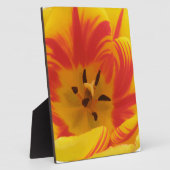 Fiery Tulip Plaque Fotoplaat (Zijkant)