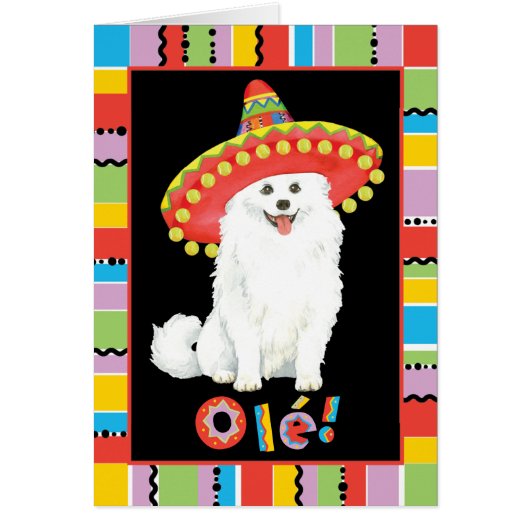 Fiesta American Eskimo Dog (Voorkant)