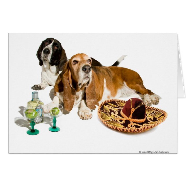 Fiesta Basset Card (Voorkant Horizontaal)