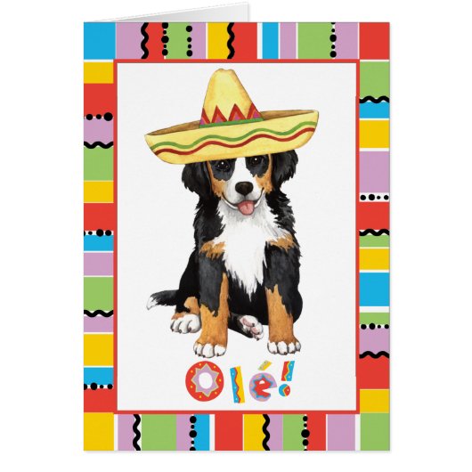 Fiesta Berner Wenskaart (Voorkant)