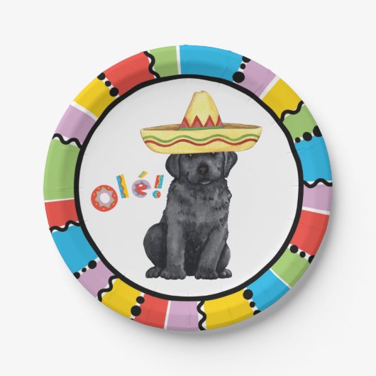 Fiesta Black Lab Papieren Bordje (Voorkant)