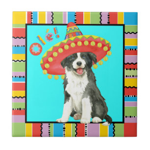 Fiesta Border Collie Tegeltje