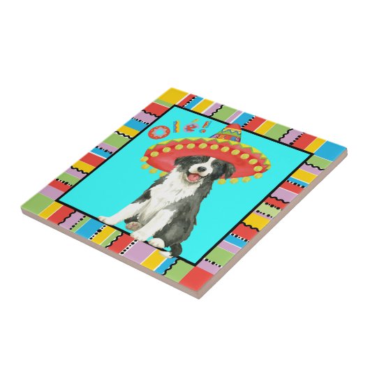 Fiesta Border Collie Tegeltje (Zijkant)