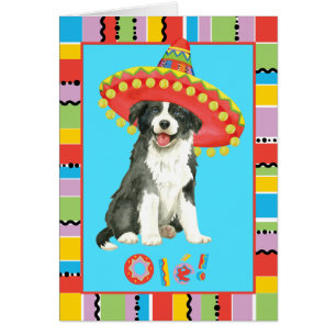 Fiesta Border Collie Wenskaart