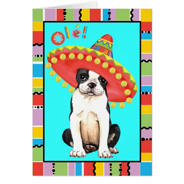 Fiesta Boston Terrier (Voorkant)