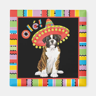 Fiesta Boxer Magneet