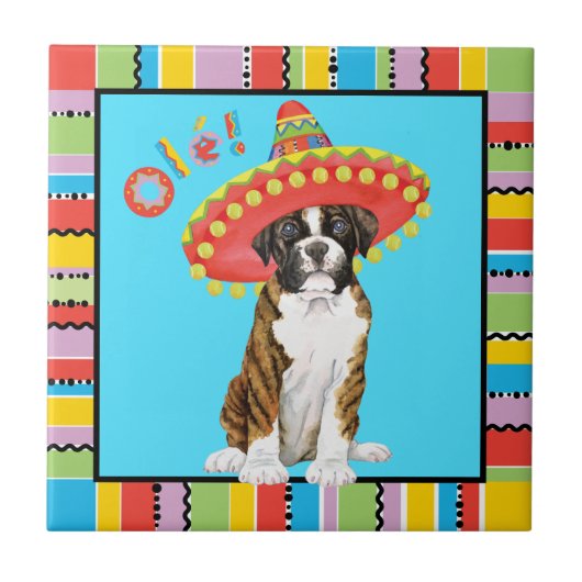 Fiesta Boxer Tegeltje (Voorkant)