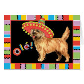 Fiesta Cairn Terrier Wenskaart (Voorkant Horizontaal)