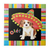 Fiesta Cavalier Tegeltje (Voorkant)