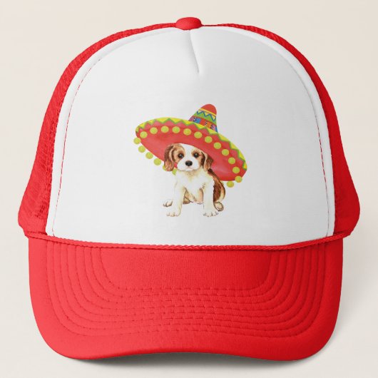Fiesta Cavalier Trucker Pet (Voorkant)