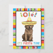 Fiesta Chocolate Lab Kaart (Voorkant)