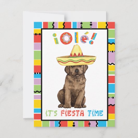 Fiesta Chocolate Lab Kaart (Voorkant)