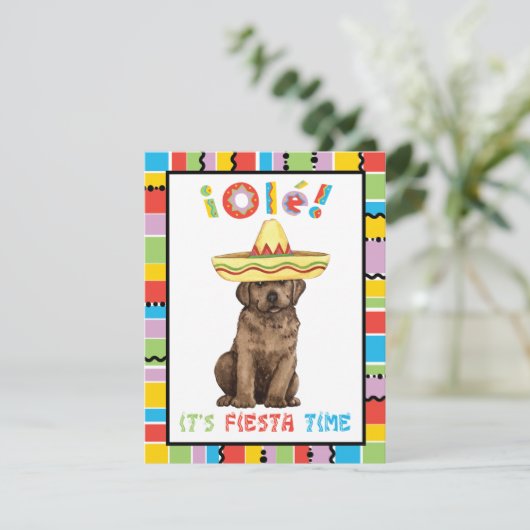Fiesta Chocolate Lab Kaart (Staand voorkant)