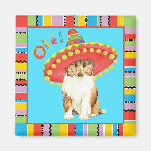 Fiesta Collie Magnet (Voorkant)