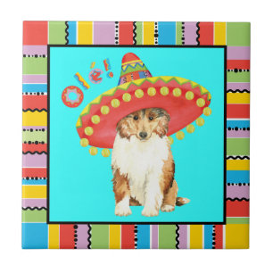 Fiesta Collie Tile Tegeltje