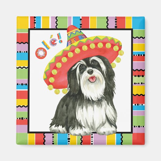 Fiesta Havanese Magneet (Voorkant)
