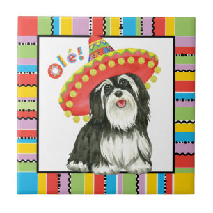 Fiesta Havanese Tegeltje