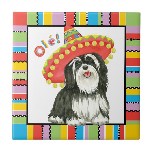 Fiesta Havanese Tegeltje (Voorkant)