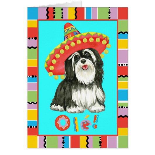 Fiesta Havanese Wenskaart (Voorkant)