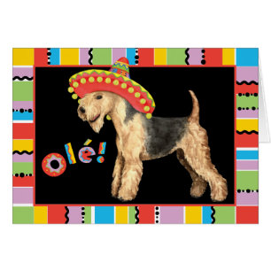 Fiesta Lakeland Terrier Kaart