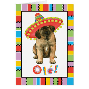 Fiesta Leonberger Kaart