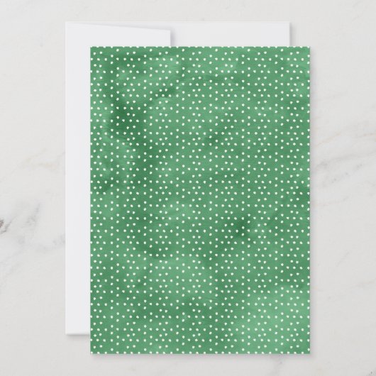 Fiesta Llama Waterverf Baby shower uitnodiging (Achterkant)