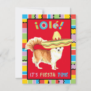 Fiesta Long Coat Chihuahua Kaart