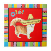 Fiesta Long Coat Chihuahua Tegeltje (Voorkant)