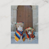 Fiesta/Mexicaans/Latijns-Amerikaans thema Visitekaartje (Achterkant)