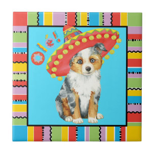 Fiesta Miniature American Shepherd Tegeltje