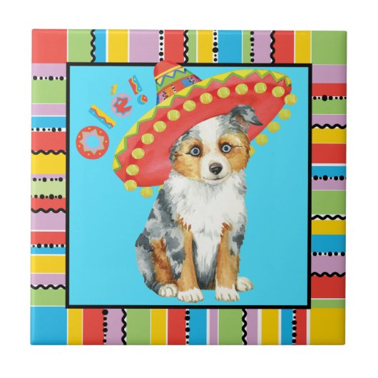 Fiesta Miniature American Shepherd Tegeltje (Voorkant)