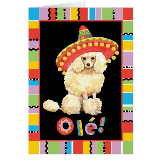 Fiesta Miniature Poodle Card (Voorkant)