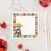 Fiesta Miniature Schnauzer Servet (Insitu)