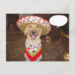 Fiesta Moses Briefkaart