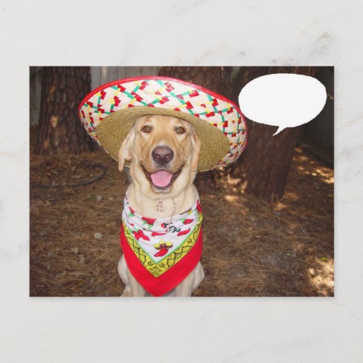 Fiesta Moses Briefkaart (Voorkant)