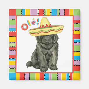 Fiesta Newfoundland Magnet