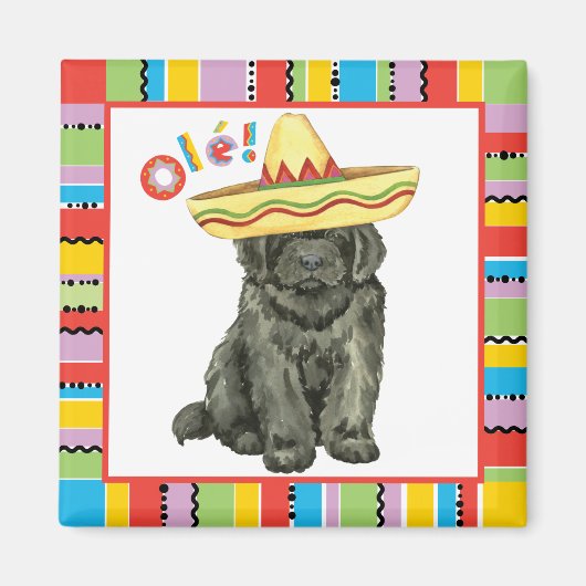 Fiesta Newfoundland Magnet (Voorkant)