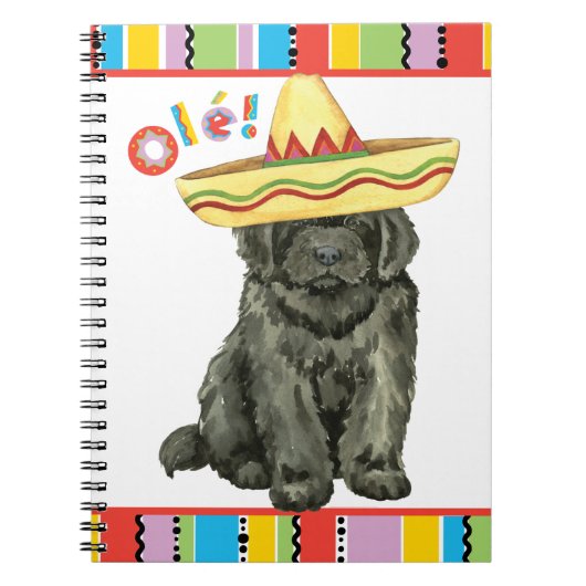 Fiesta Newfoundland Notitieboek (Voorkant)