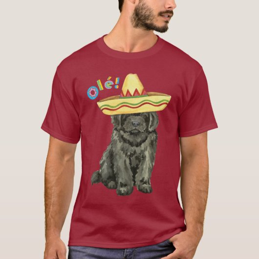 Fiesta Newfoundland T-Shirt (Voorkant)