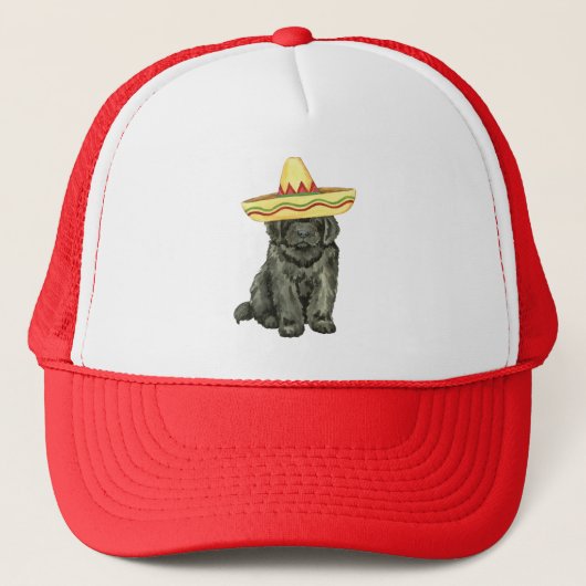 Fiesta Newfoundland Trucker Hat Trucker Pet (Voorkant)