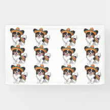 Fiesta Papillon Hond met Sombrero en Sarape