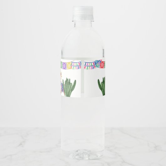 Fiesta Party met Papel Picado Bunting en Cactus Waterfles Etiket (Achterkant)
