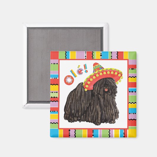 Fiesta Puli Magnet (Voorkant / Achterkant)