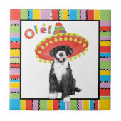 Fiesta PWD Tegeltje (Voorkant)