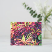 Fiesta van kleur - Briefkaart (Staand voorkant)