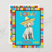 Fiesta Weimaraner Uitnodiging (Voorkant / Achterkant)