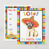 Fiesta Wheaten Kaart (Voorkant / Achterkant)