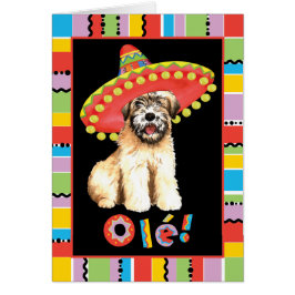 Fiesta Wheaten Wenskaart